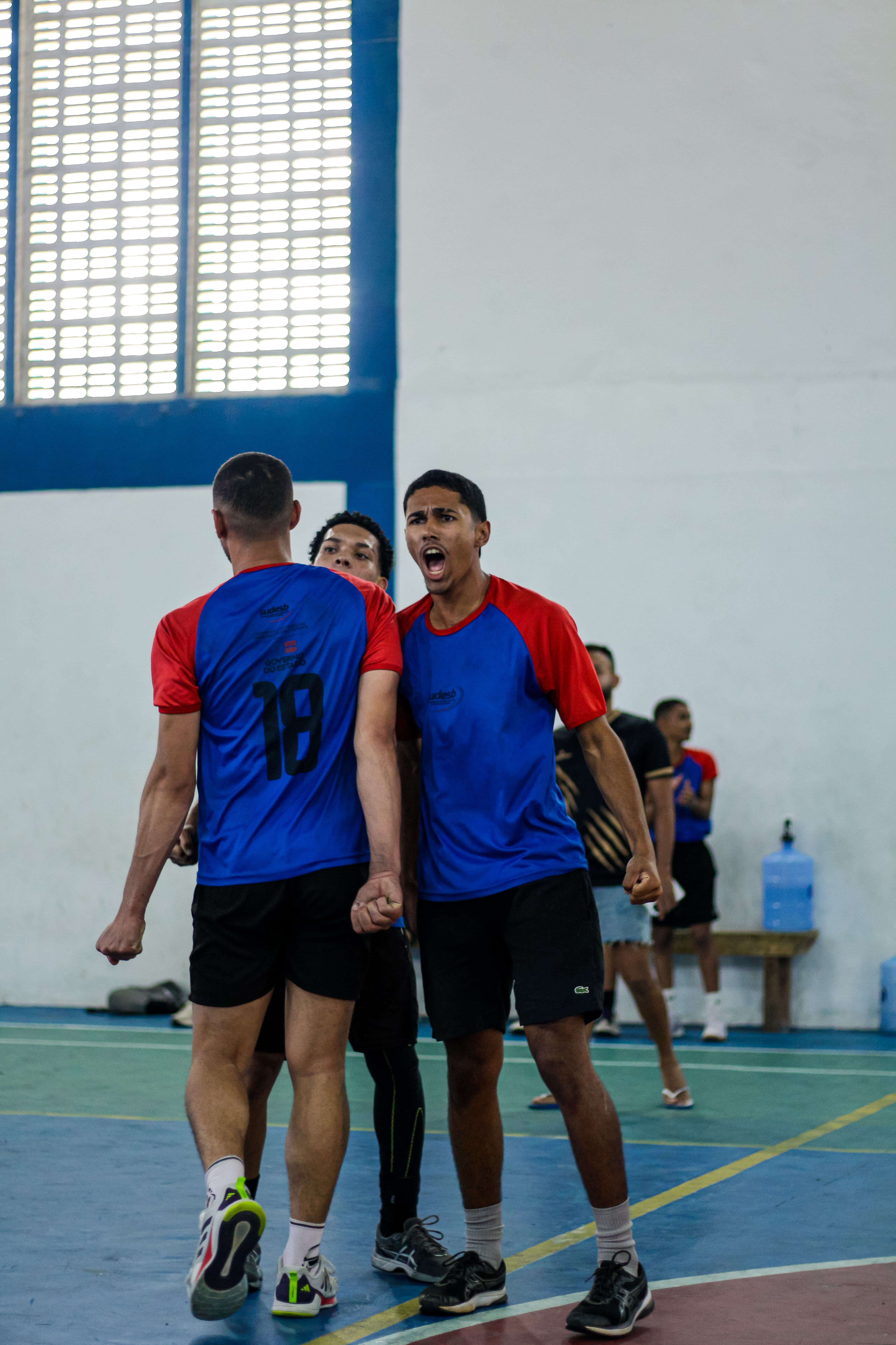 2ª Edição