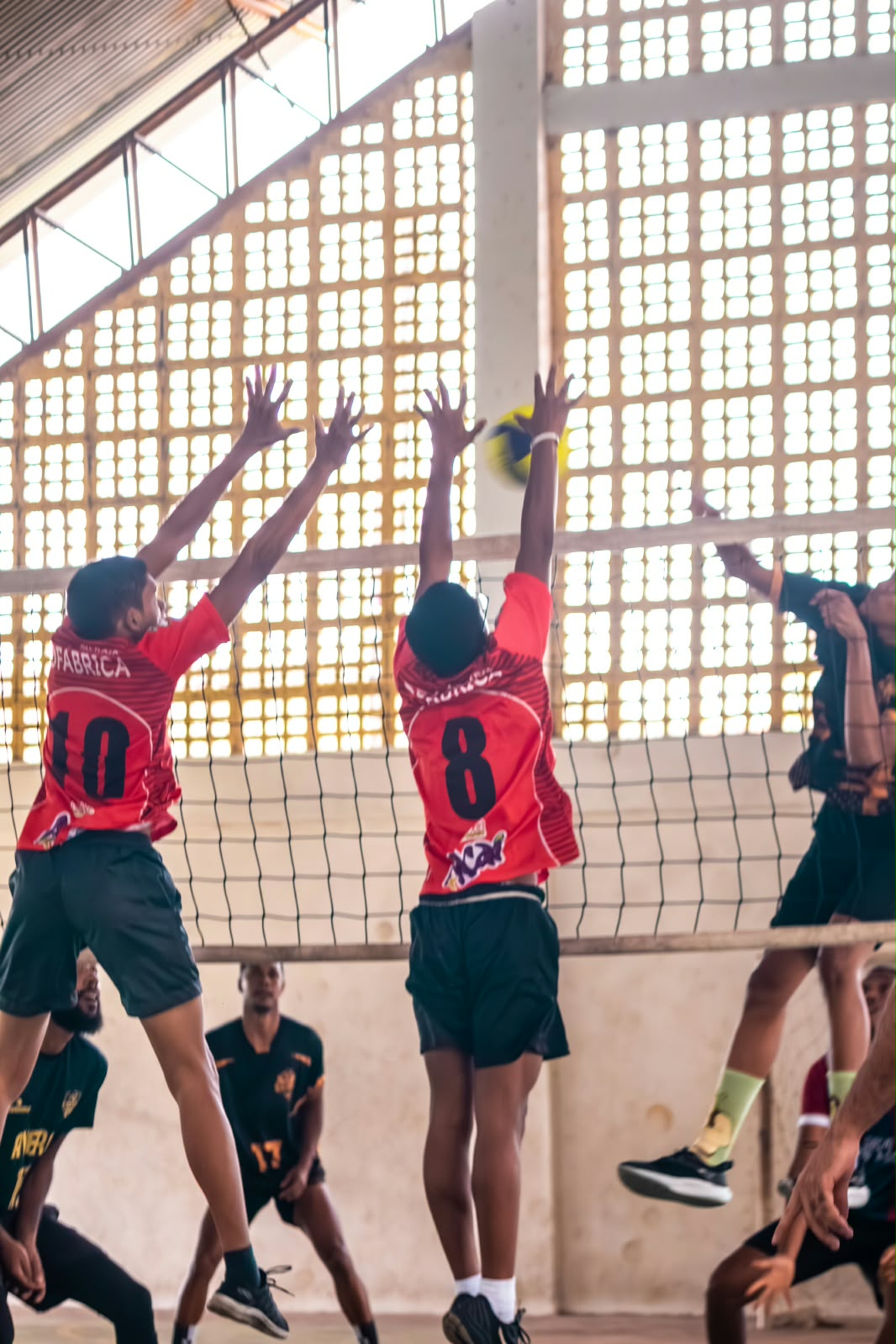 Jogo 14