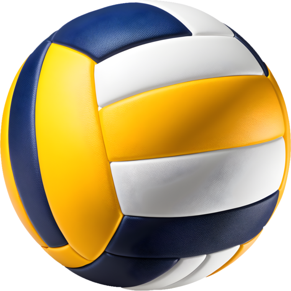 Bola de Vôlei